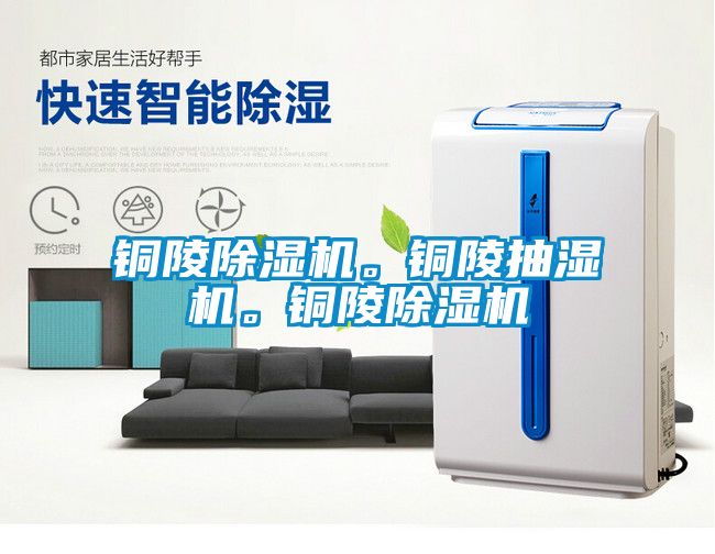 銅陵除濕機。銅陵抽濕機。銅陵除濕機