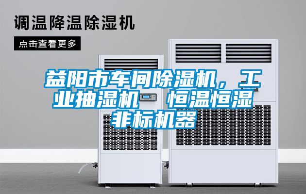 益陽市車間除濕機(jī)，工業(yè)抽濕機(jī)  恒溫恒濕非標(biāo)機(jī)器