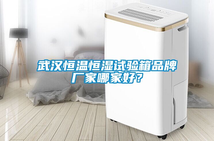武漢恒溫恒濕試驗(yàn)箱品牌廠家哪家好？