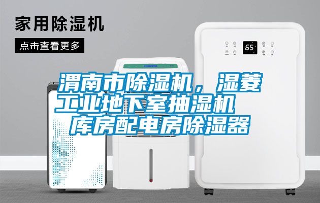 渭南市除濕機(jī)，濕菱工業(yè)地下室抽濕機(jī)  庫房配電房除濕器