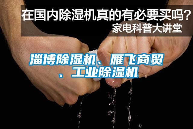 淄博除濕機(jī)、雁飛商貿(mào)、工業(yè)除濕機(jī)