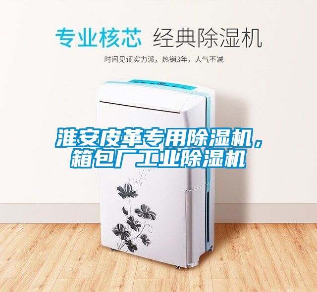 淮安皮革專用除濕機(jī)，箱包廠工業(yè)除濕機(jī)