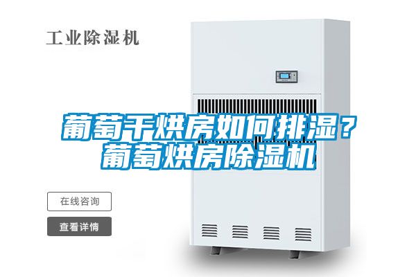 葡萄干烘房如何排濕？葡萄烘房除濕機