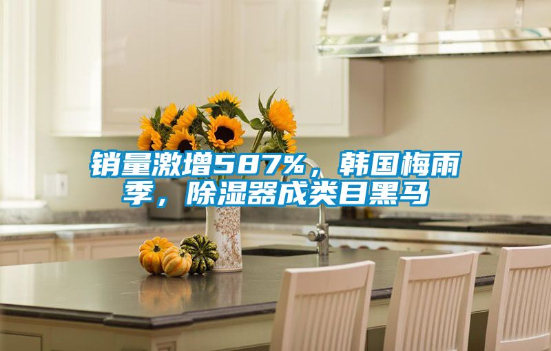 銷量激增587%，韓國梅雨季，除濕器成類目黑馬