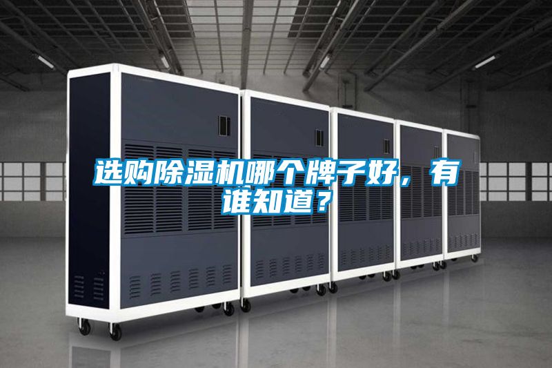 選購除濕機(jī)哪個牌子好，有誰知道？
