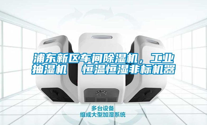 浦東新區(qū)車間除濕機(jī)，工業(yè)抽濕機(jī)  恒溫恒濕非標(biāo)機(jī)器