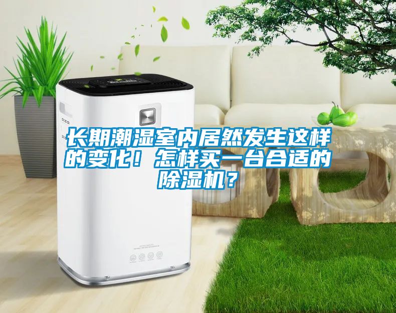 長期潮濕室內(nèi)居然發(fā)生這樣的變化！怎樣買一臺合適的除濕機(jī)？