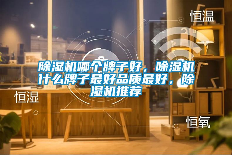除濕機(jī)哪個(gè)牌子好，除濕機(jī)什么牌子最好品質(zhì)最好，除濕機(jī)推薦