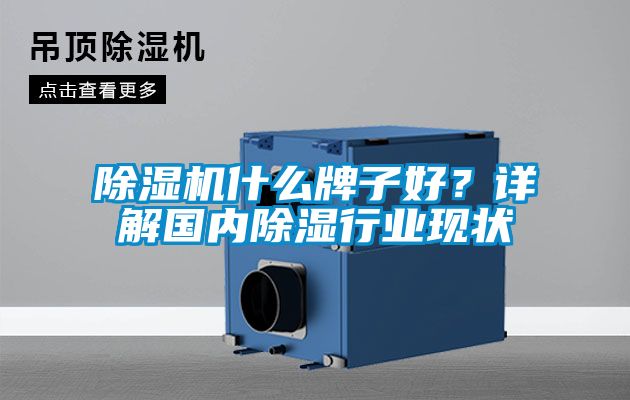 除濕機(jī)什么牌子好？詳解國(guó)內(nèi)除濕行業(yè)現(xiàn)狀
