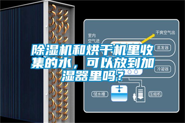除濕機(jī)和烘干機(jī)里收集的水，可以放到加濕器里嗎？