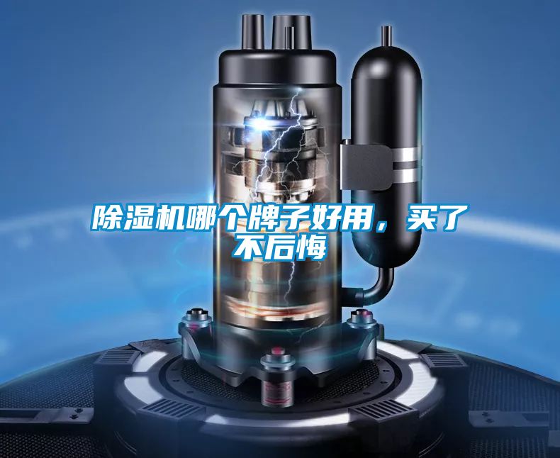 除濕機(jī)哪個牌子好用，買了不后悔