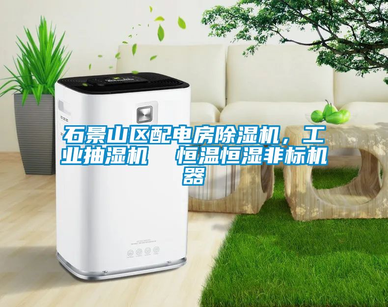 石景山區(qū)配電房除濕機(jī)，工業(yè)抽濕機(jī)  恒溫恒濕非標(biāo)機(jī)器