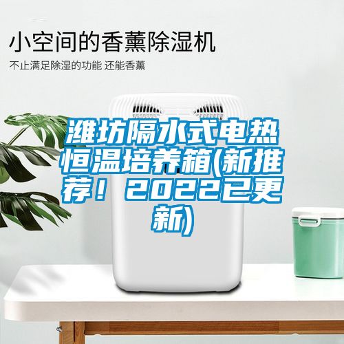 濰坊隔水式電熱恒溫培養(yǎng)箱(新推薦！2022已更新)