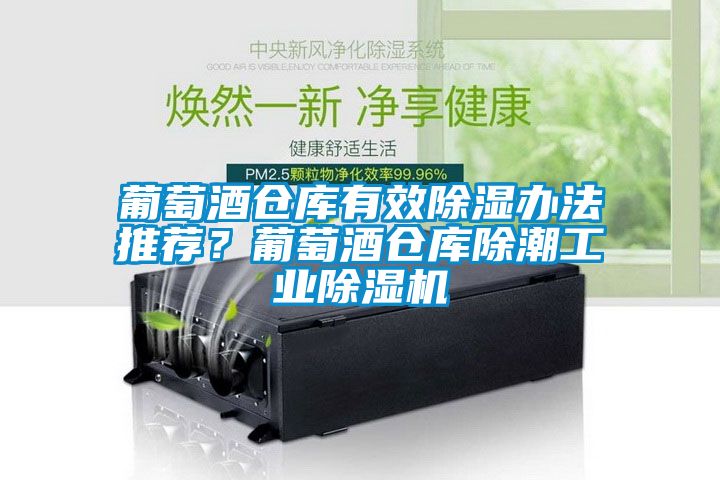 葡萄酒倉庫有效除濕辦法推薦？葡萄酒倉庫除潮工業(yè)除濕機