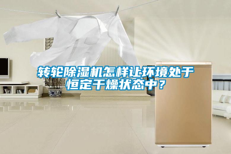 轉(zhuǎn)輪除濕機(jī)怎樣讓環(huán)境處于恒定干燥狀態(tài)中？