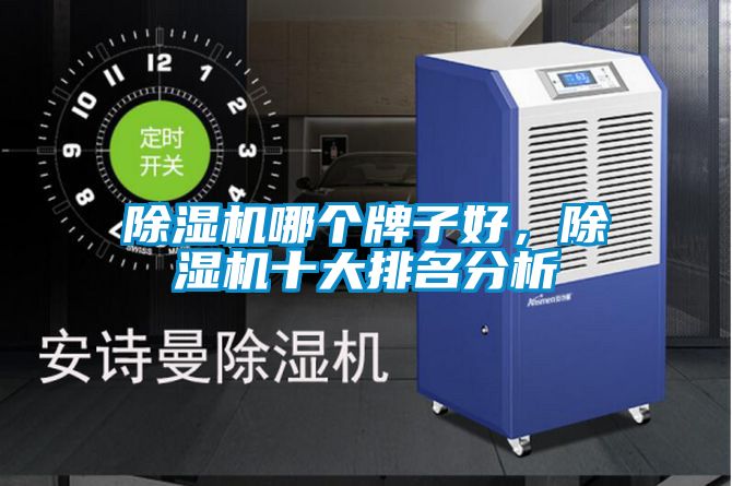 除濕機(jī)哪個(gè)牌子好，除濕機(jī)十大排名分析