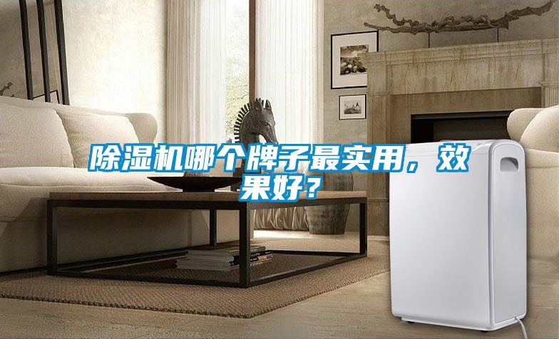 除濕機(jī)哪個(gè)牌子最實(shí)用，效果好？