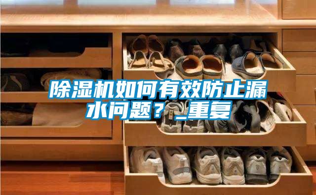 除濕機如何有效防止漏水問題？_重復