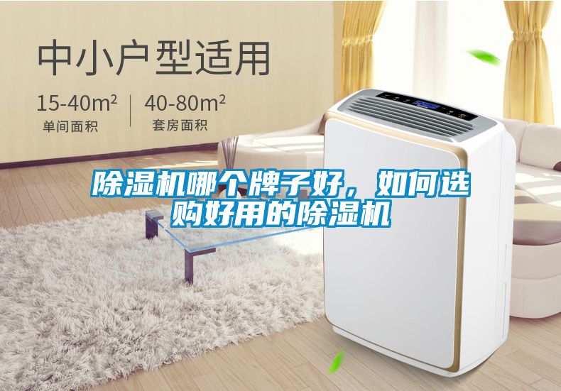 除濕機(jī)哪個(gè)牌子好，如何選購(gòu)好用的除濕機(jī)