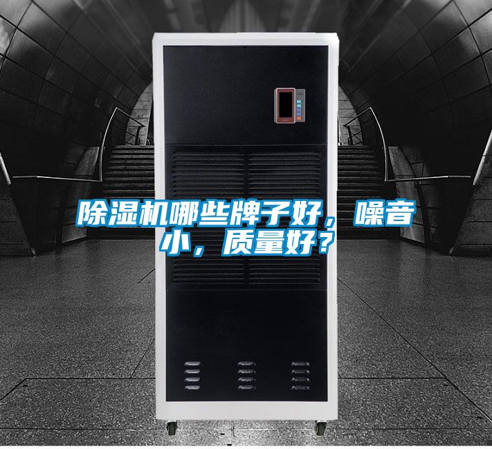 除濕機(jī)哪些牌子好，噪音小，質(zhì)量好？