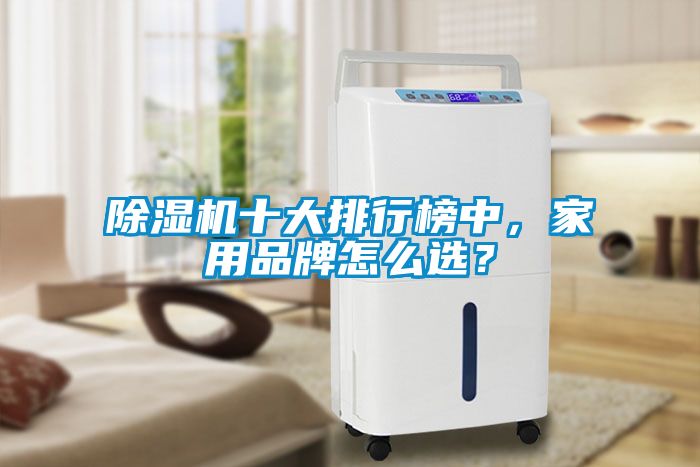 除濕機(jī)十大排行榜中，家用品牌怎么選？