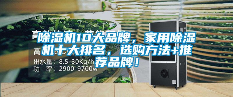 除濕機10大品牌，家用除濕機十大排名，選購方法+推薦品牌！