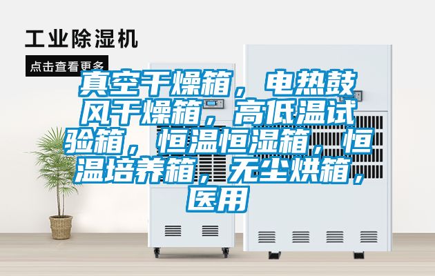 真空干燥箱，電熱鼓風(fēng)干燥箱，高低溫試驗(yàn)箱，恒溫恒濕箱，恒溫培養(yǎng)箱，無塵烘箱，醫(yī)用