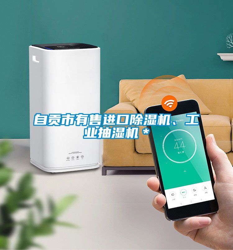 自貢市有售進(jìn)口除濕機(jī)、工業(yè)抽濕機(jī)＊