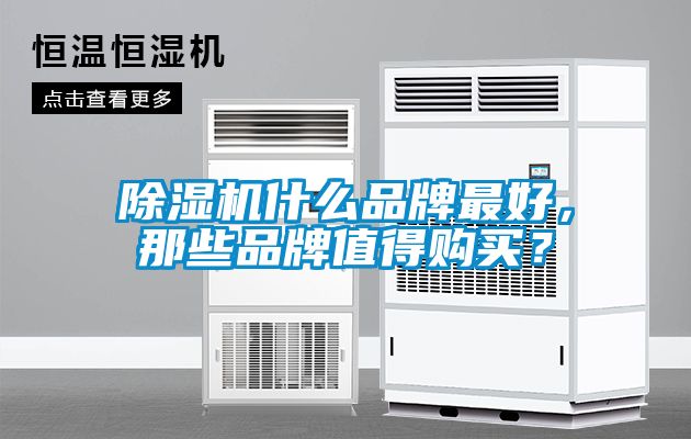 除濕機什么品牌最好，那些品牌值得購買？