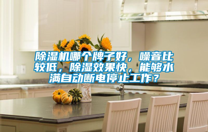 除濕機(jī)哪個(gè)牌子好，噪音比較低，除濕效果快，能夠水滿自動(dòng)斷電停止工作？