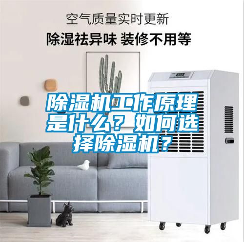 除濕機工作原理是什么？如何選擇除濕機？