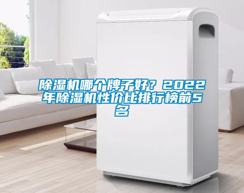 除濕機(jī)哪個(gè)牌子好？2022年除濕機(jī)性?xún)r(jià)比排行榜前5名