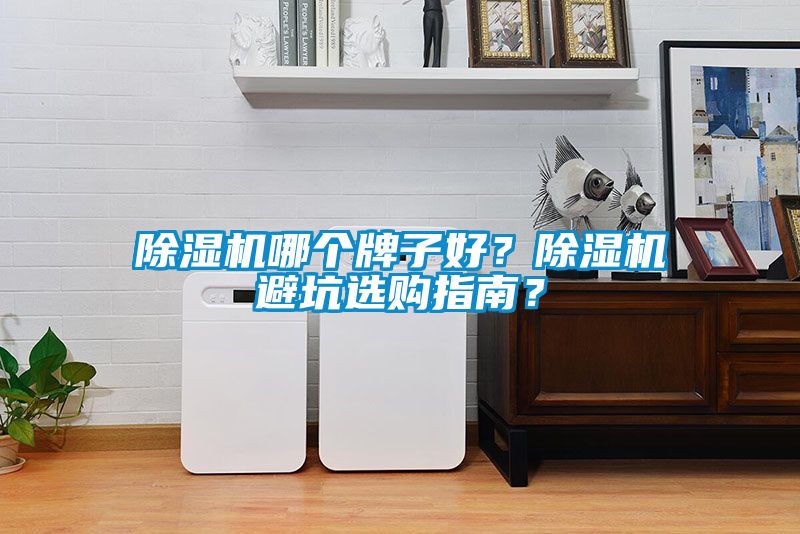 除濕機哪個牌子好？除濕機避坑選購指南？