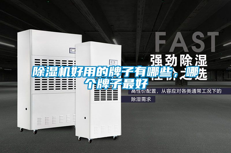 除濕機好用的牌子有哪些，哪個牌子最好