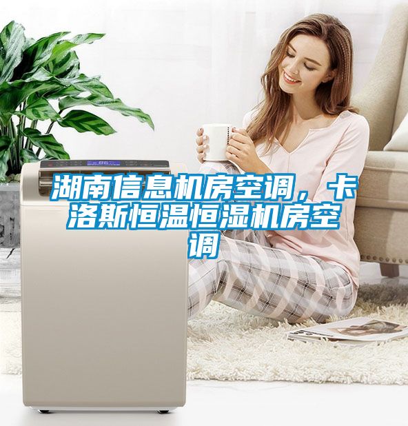 湖南信息機房空調(diào)，卡洛斯恒溫恒濕機房空調(diào)