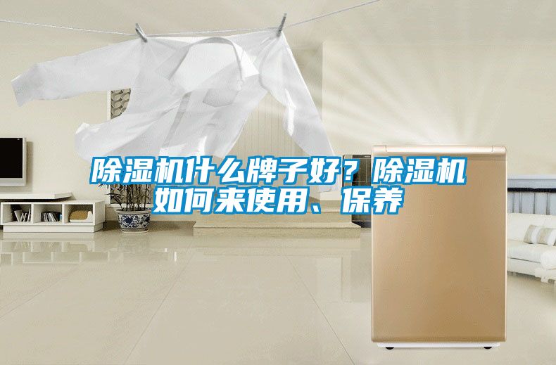 除濕機(jī)什么牌子好？除濕機(jī)如何來(lái)使用、保養(yǎng)