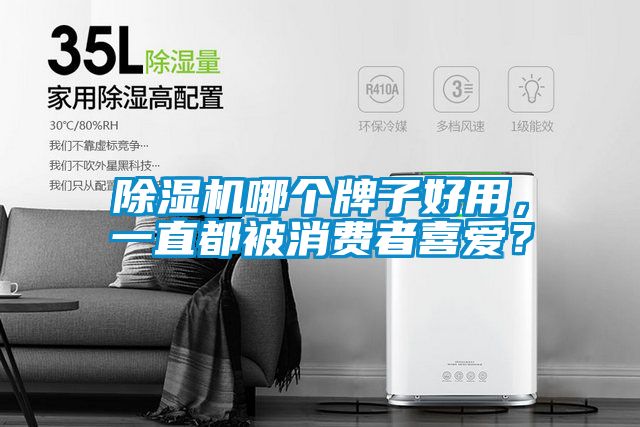 除濕機(jī)哪個牌子好用，一直都被消費者喜愛？