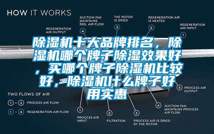 除濕機(jī)十大品牌排名，除濕機(jī)哪個(gè)牌子除濕效果好，買哪個(gè)牌子除濕機(jī)比較好，除濕機(jī)什么牌子好用實(shí)惠