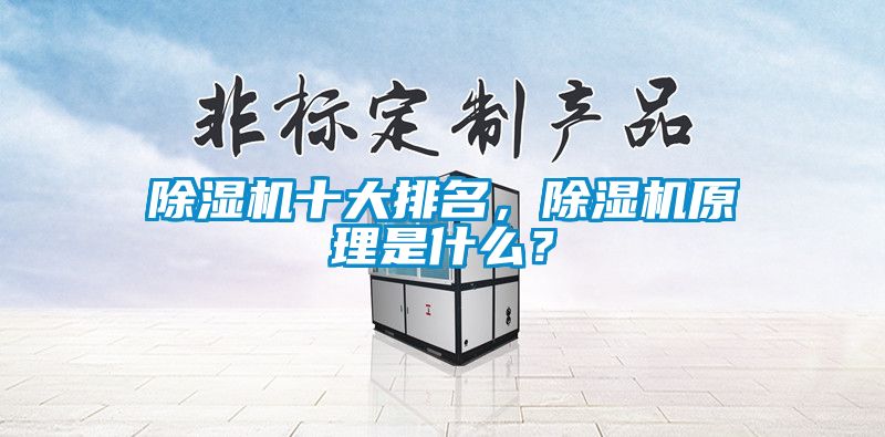 除濕機(jī)十大排名，除濕機(jī)原理是什么？