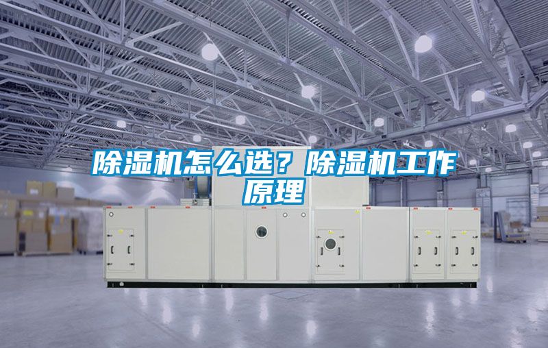 除濕機怎么選？除濕機工作原理