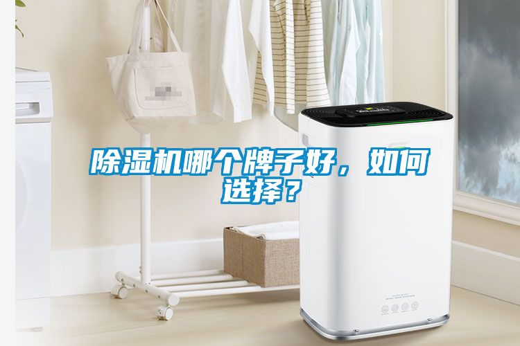 除濕機(jī)哪個(gè)牌子好，如何選擇？