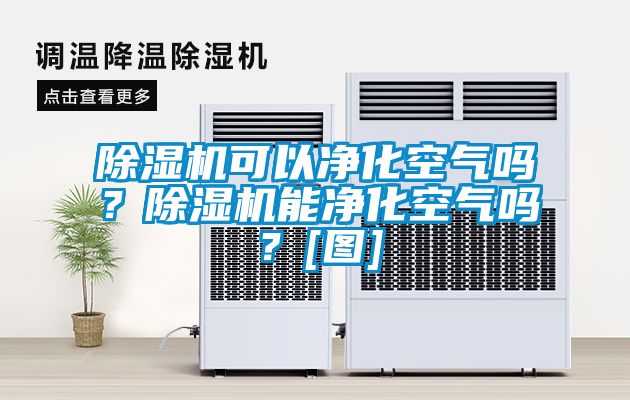 除濕機(jī)可以凈化空氣嗎？除濕機(jī)能凈化空氣嗎？[圖]
