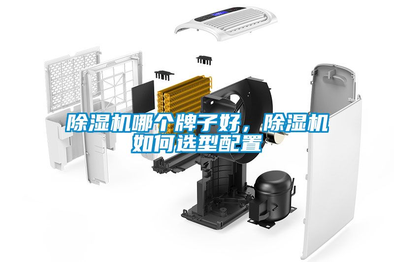 除濕機(jī)哪個(gè)牌子好，除濕機(jī)如何選型配置