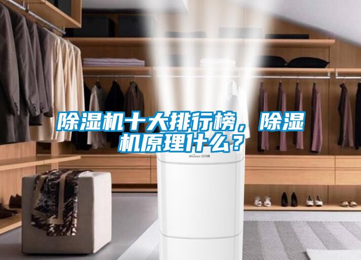 除濕機十大排行榜，除濕機原理什么？