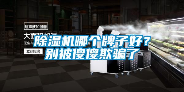 除濕機(jī)哪個(gè)牌子好？別被傻傻欺騙了