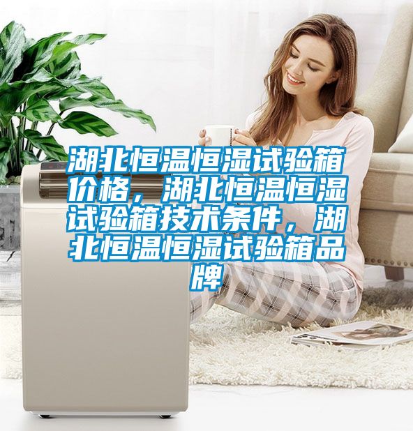湖北恒溫恒濕試驗箱價格，湖北恒溫恒濕試驗箱技術(shù)條件，湖北恒溫恒濕試驗箱品牌