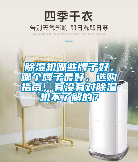 除濕機(jī)哪些牌子好，哪個(gè)牌子最好，選購(gòu)指南，有沒(méi)有對(duì)除濕機(jī)不了解的？