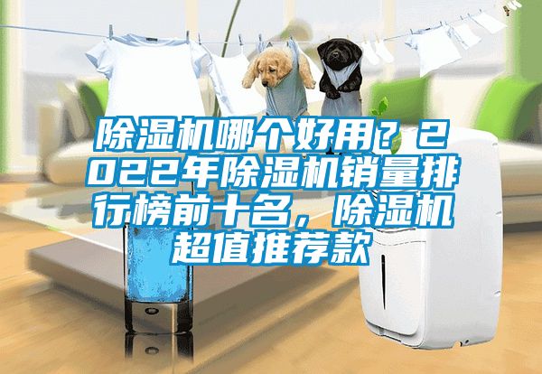 除濕機哪個好用？2022年除濕機銷量排行榜前十名，除濕機超值推薦款
