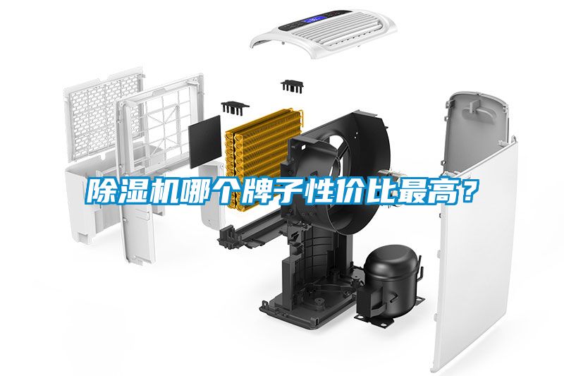 除濕機(jī)哪個(gè)牌子性價(jià)比最高？