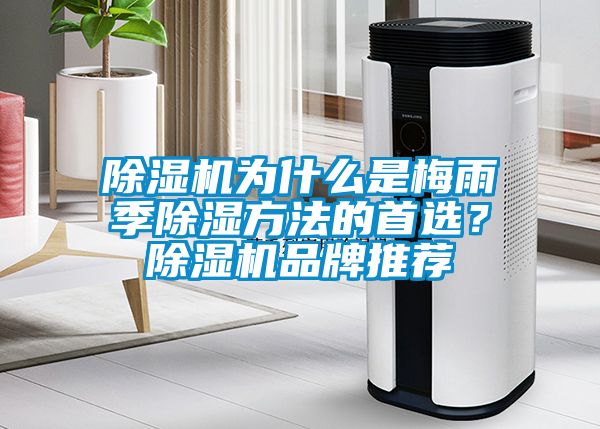 除濕機為什么是梅雨季除濕方法的首選？除濕機品牌推薦